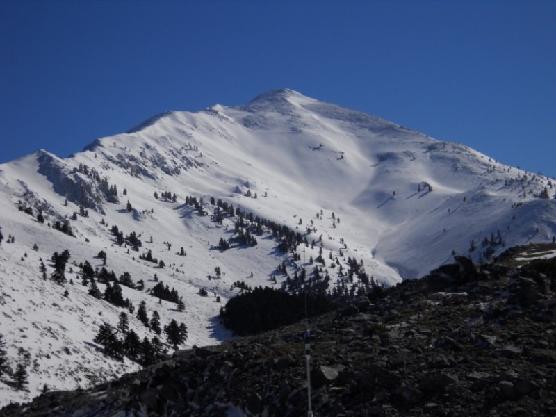 DSCN0009.jpg