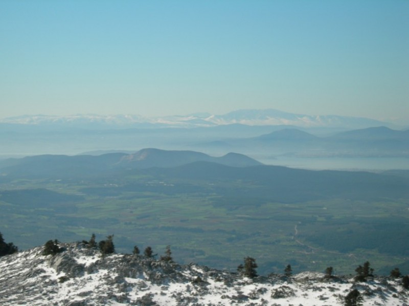 125 6-2-1011 KENTRIKI EVIA 007.jpg