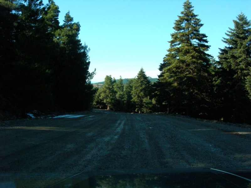 125 6-2-1011 KENTRIKI EVIA 064.jpg