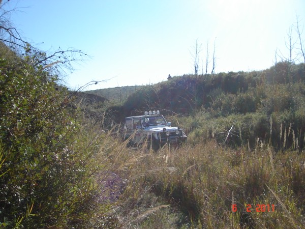 DSC03105.jpg