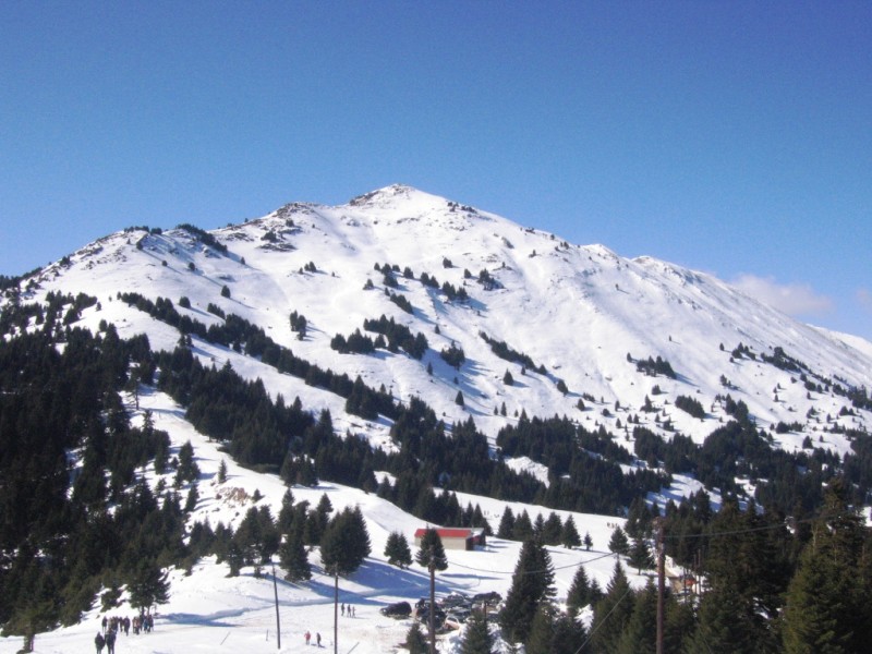 IMG_9770.jpg