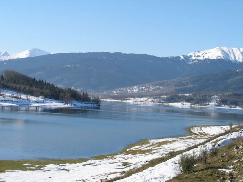 P2125602.jpg