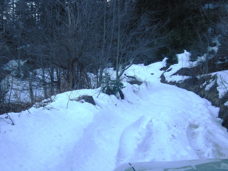 IMG_9778.jpg