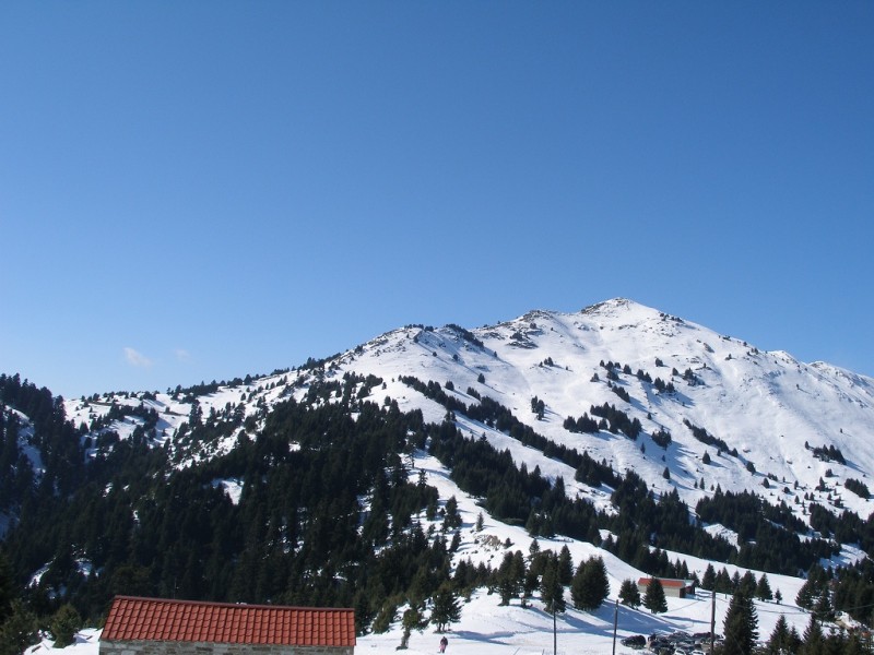 P2125610.jpg