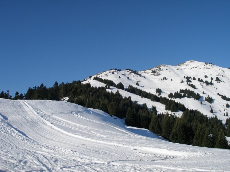 P2135625.jpg