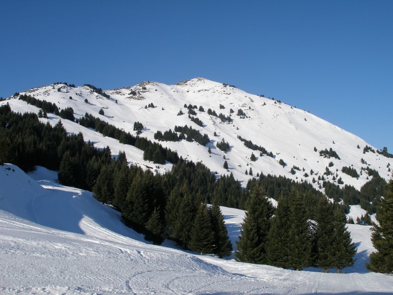 P2135630.jpg
