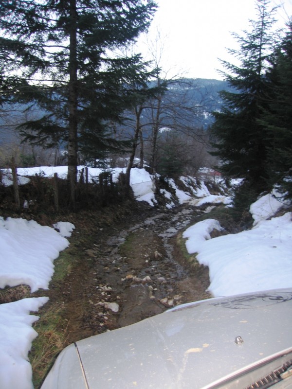 IMG_9788.jpg