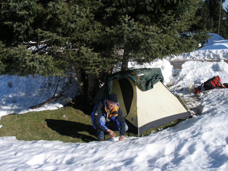 P2135644.jpg