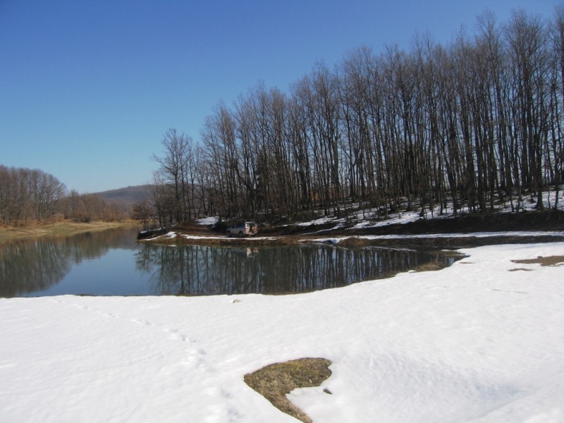 IMG_9830.jpg