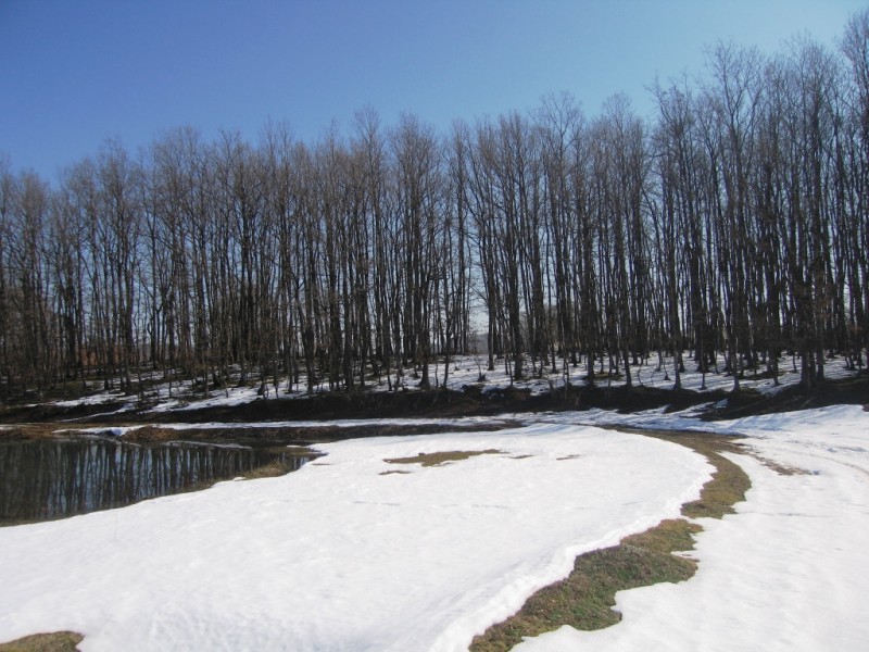 IMG_9831.jpg