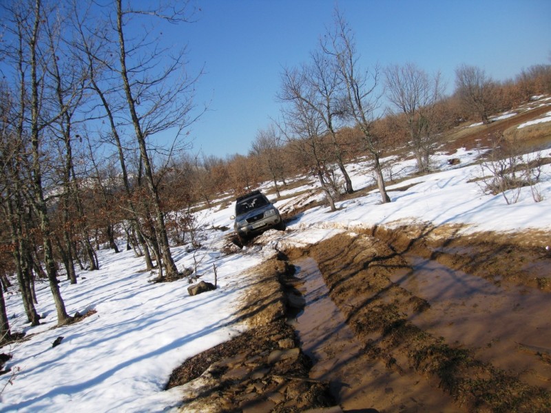 IMG_9844.jpg