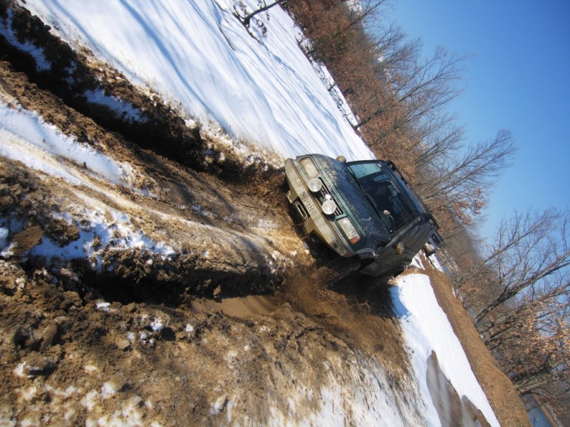 IMG_9848.jpg