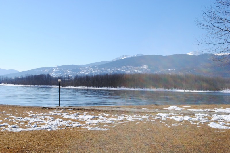 DSC_5982.jpg