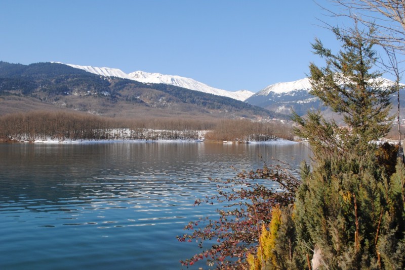 DSC_5994.jpg