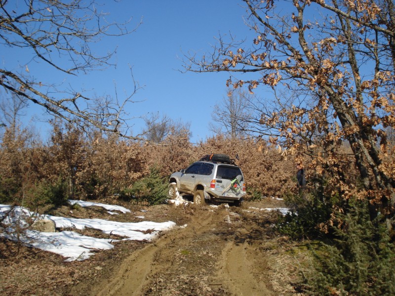 DSC02656.jpg
