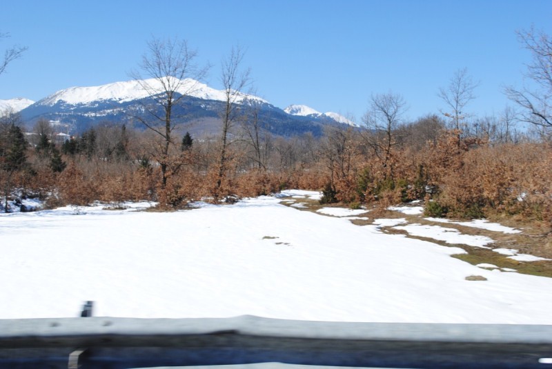 DSC_6049.jpg