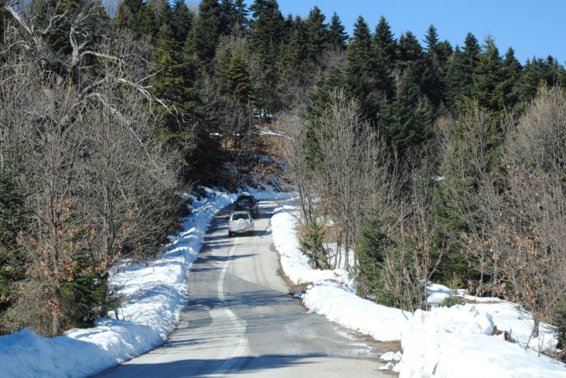 DSC_6091.jpg