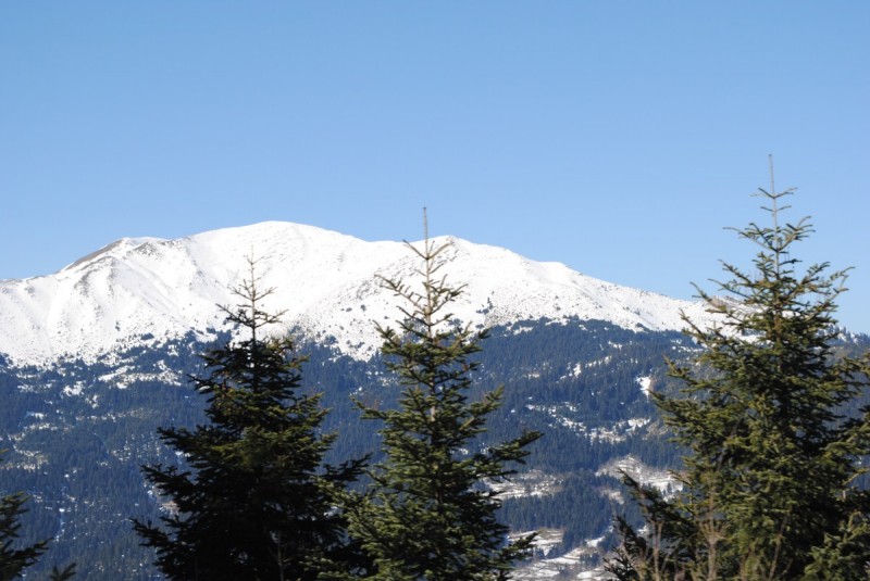 DSC_6105.jpg