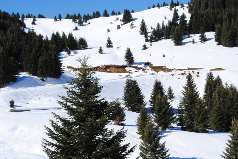 DSC_6118.jpg