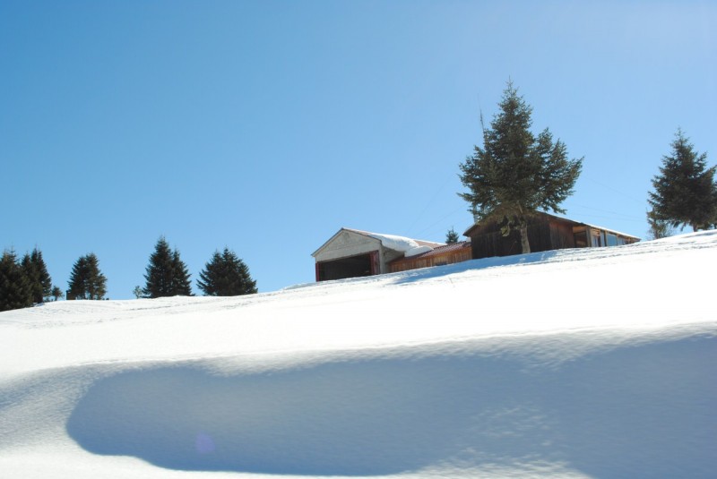 DSC_6145.jpg