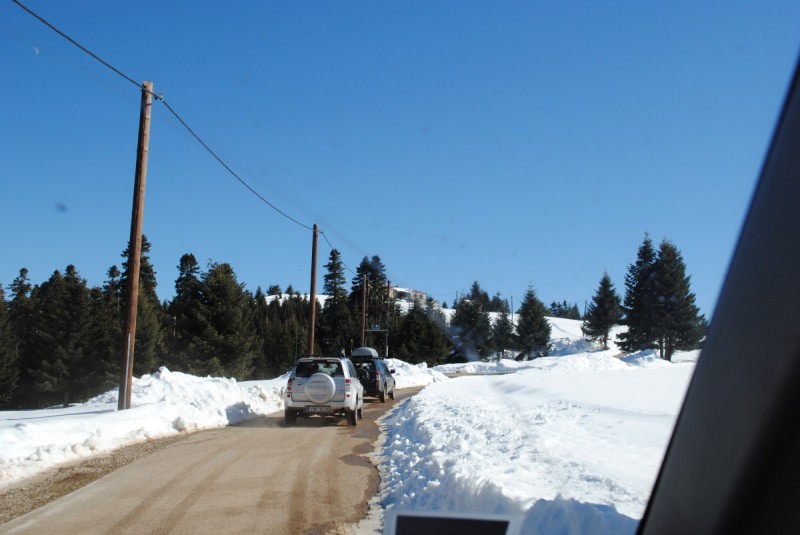 DSC_6146.jpg