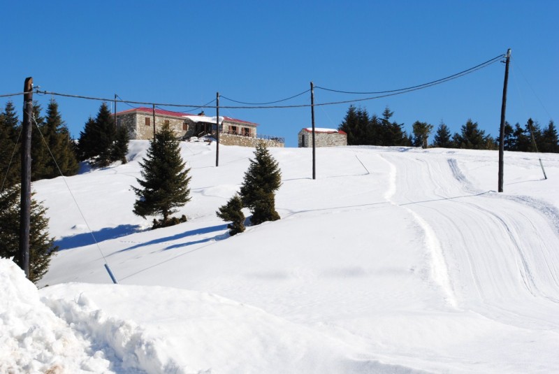 DSC_6148.jpg