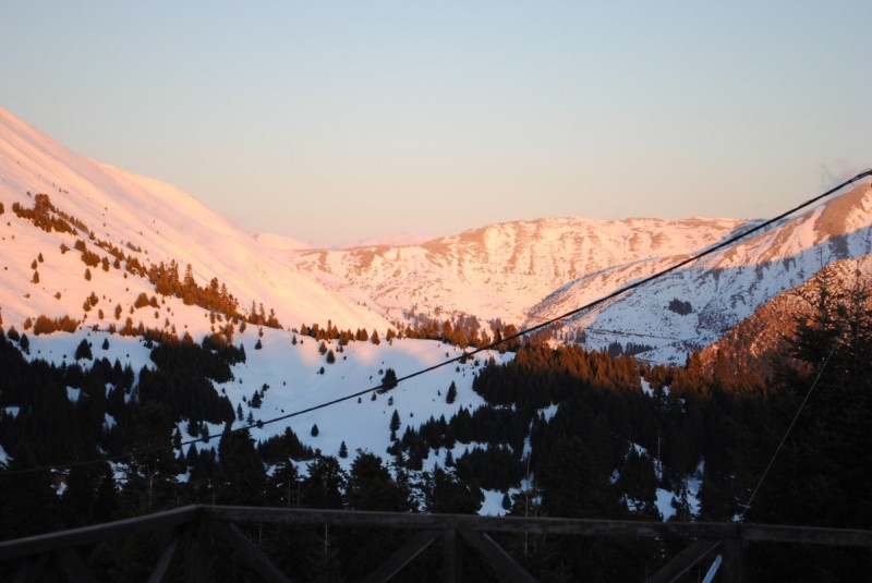 DSC_6197.jpg
