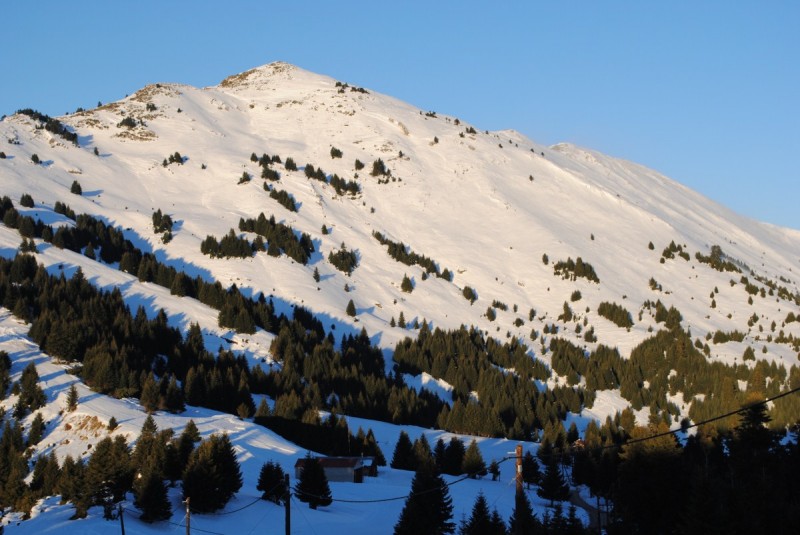 DSC_6209.jpg