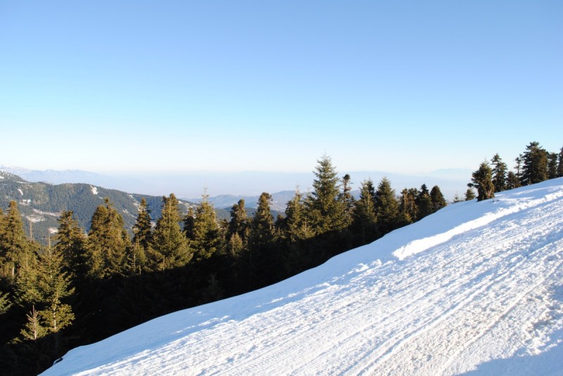 DSC_6222.jpg