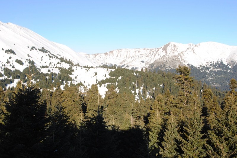 DSC_6227.jpg