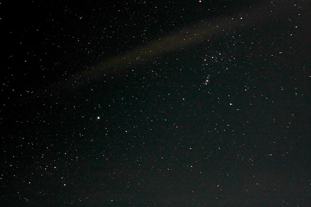 _MG_7010.jpg