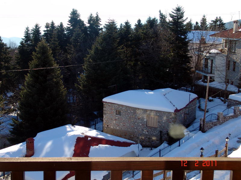 p01.jpg