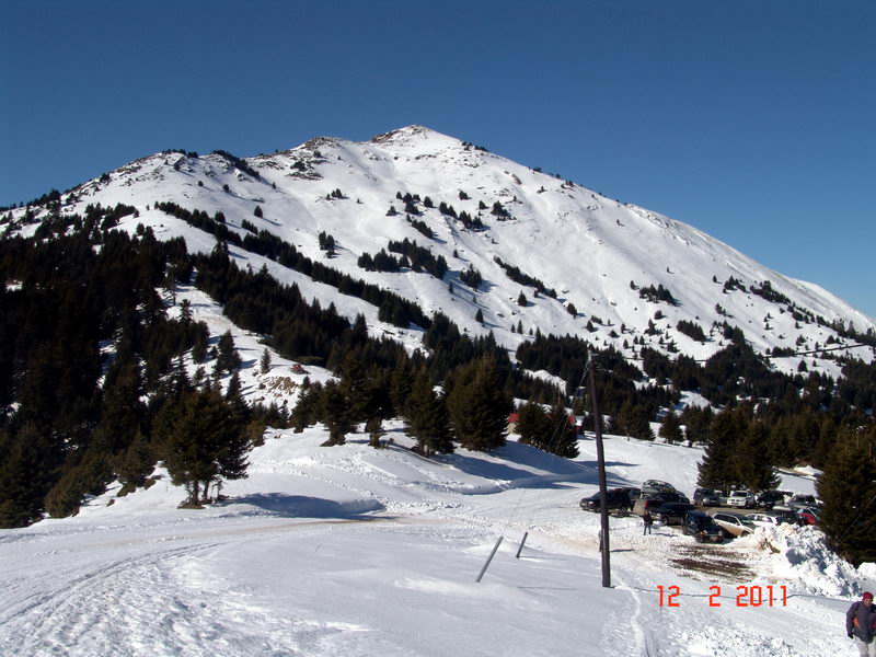 p10.jpg
