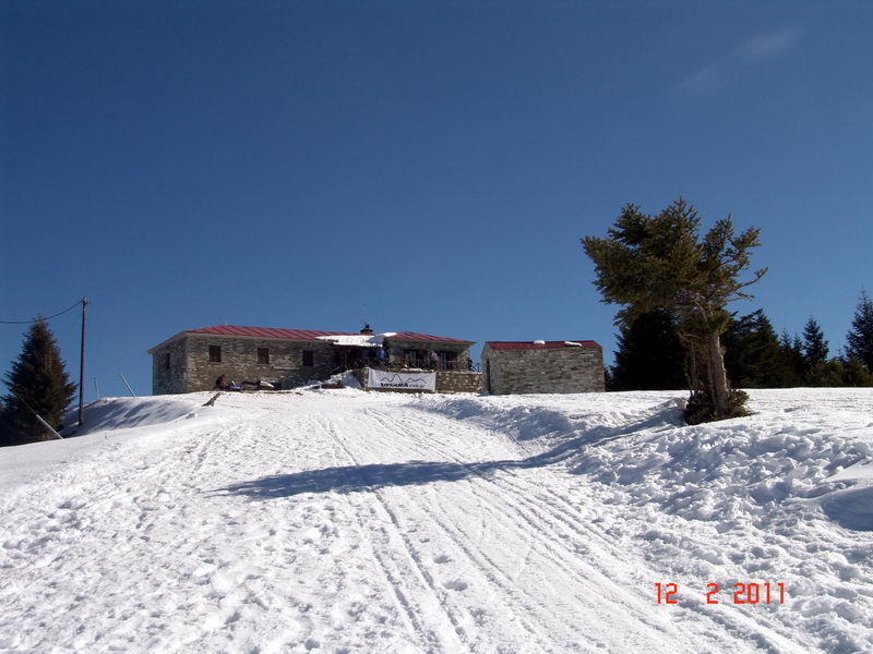 p11.jpg