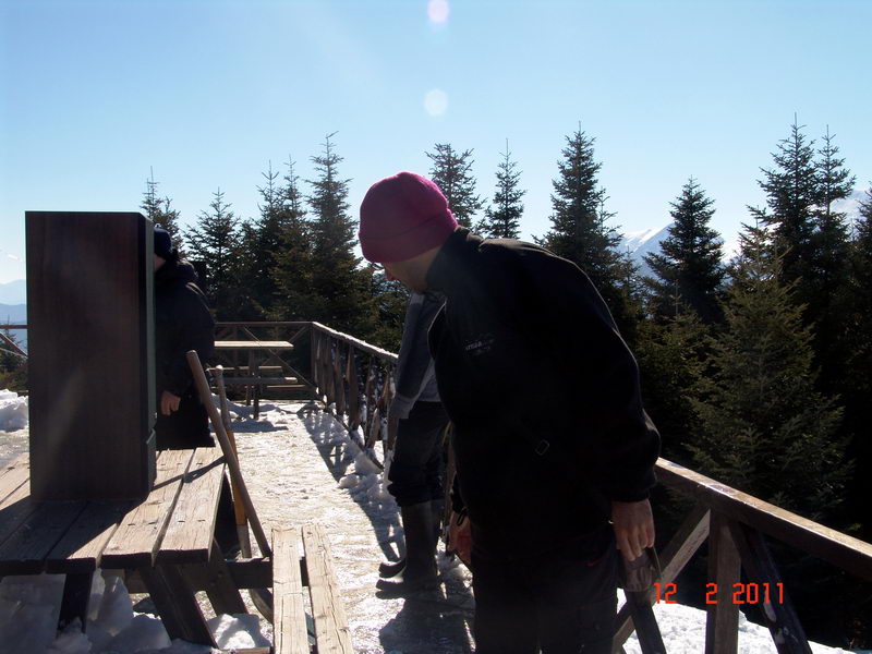 p13.jpg