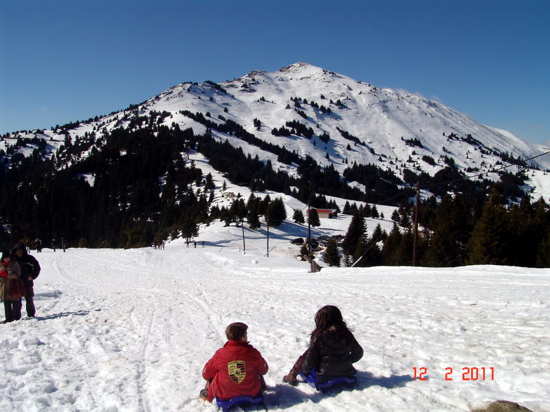p22.jpg
