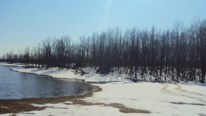DSC01735.jpg