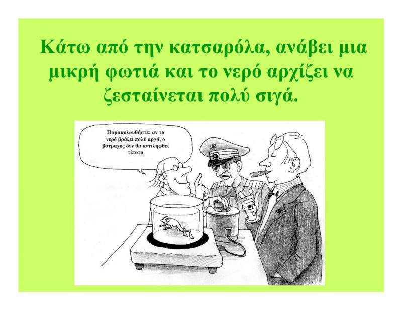 A_frogs_tale-00005.jpg