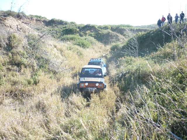 p1010826e.jpg