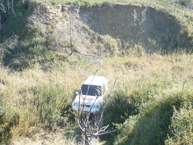 p1010827zx.jpg