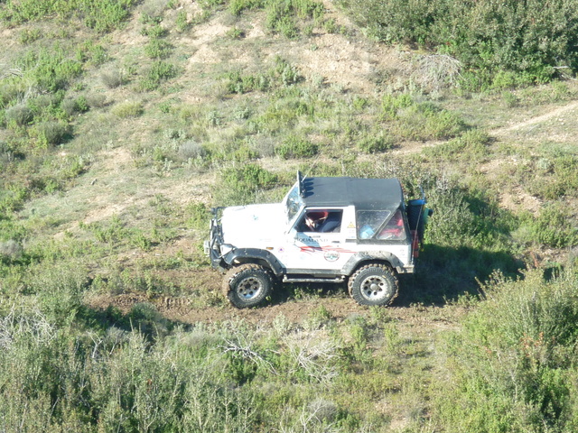 p1010823s.jpg