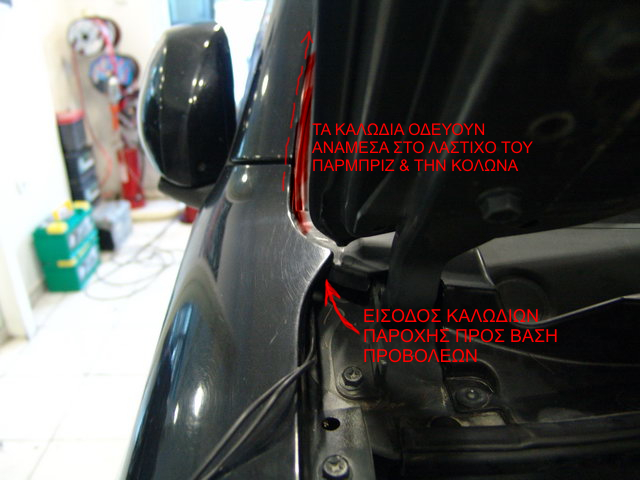 dd04.jpg