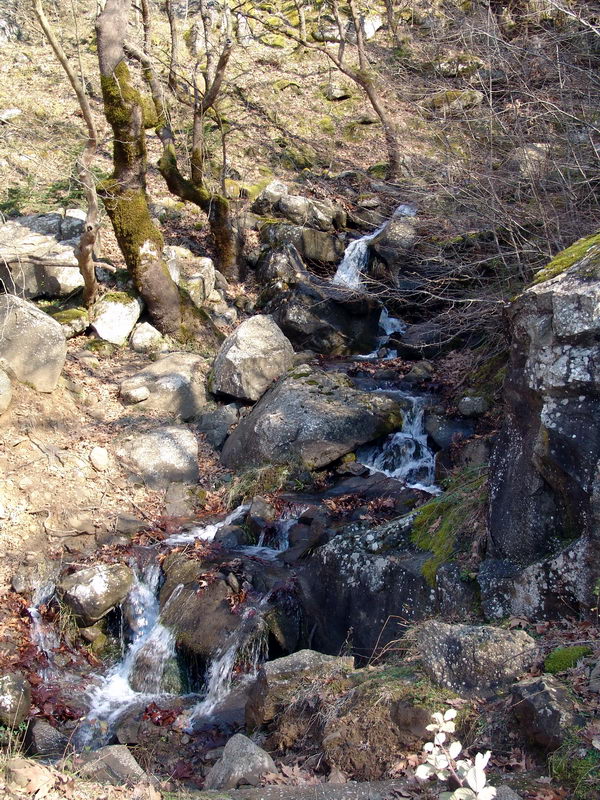 P-15.jpg