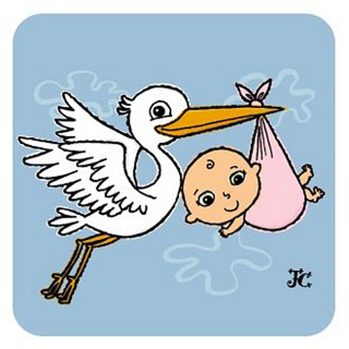 baby_stork.jpg