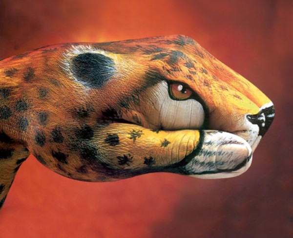 06.jpg