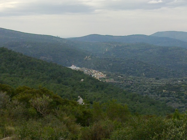 25022011087.jpg