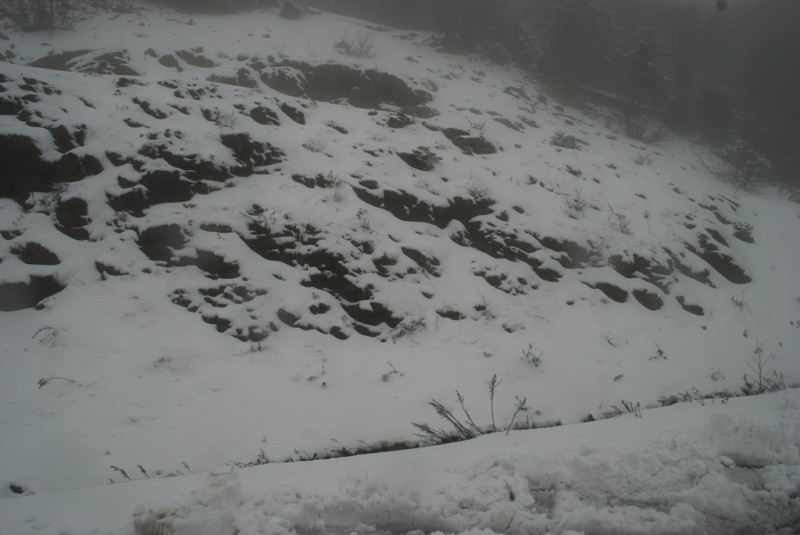 DSC_4898.JPG