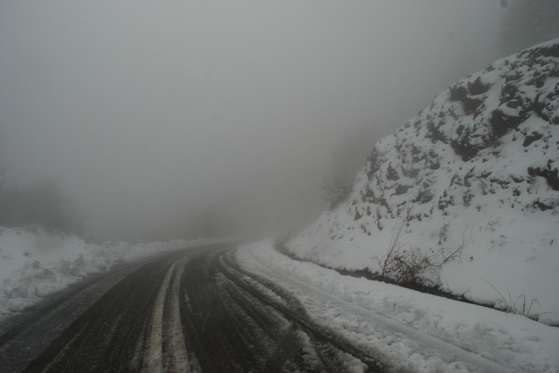 DSC_4899.JPG