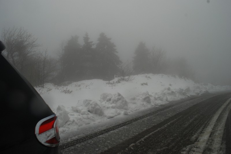 DSC_4900.JPG