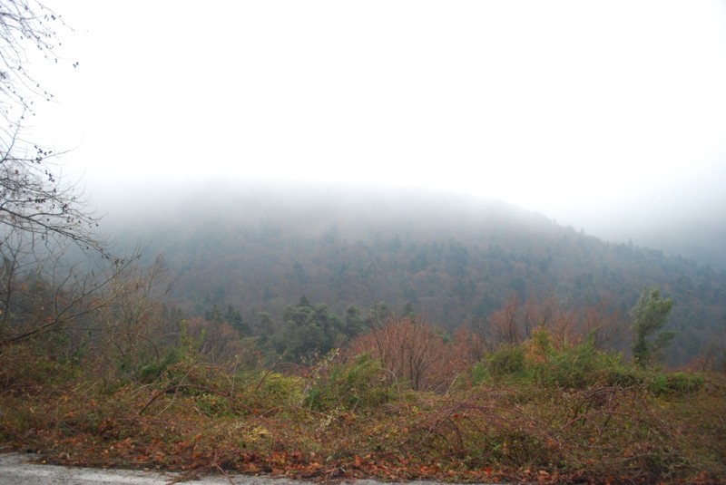 DSC_4901.JPG